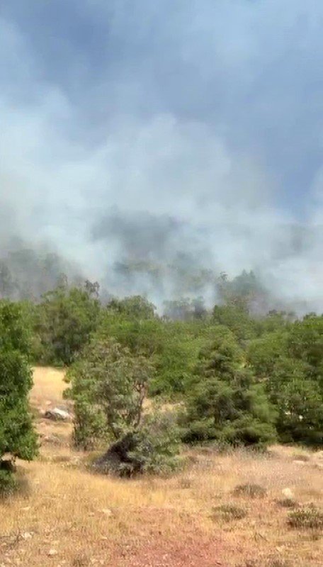 Muğla ve Diyarbakır’da orman yangını! Bir il söndürüldü, bir ilde müdahale sürüyor