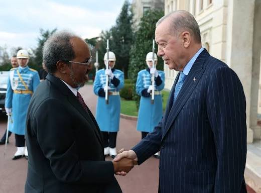 Somali Cumhurbaşkanı Mahmud'dan dikkat çeken Erdoğan itirafı!  "Öleceğim günden başka bir günde ölmem"