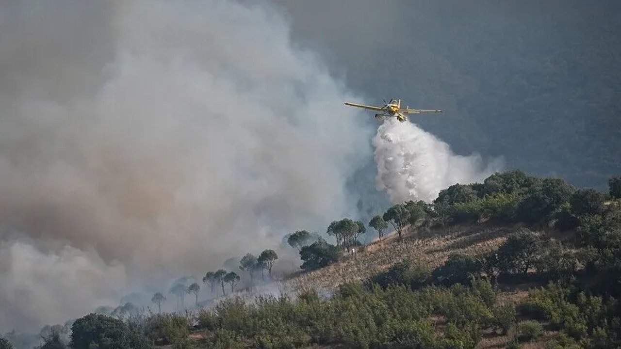 Antalya Kaş'ta orman yangını! Ekipler bölgede