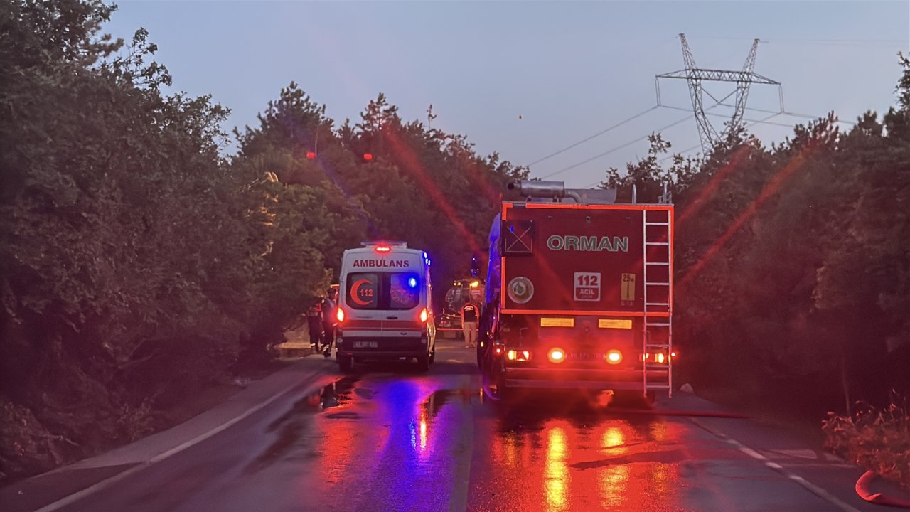 Kocaeli Gebze'de orman yangını! Saatler sonra kontrol altına alındı