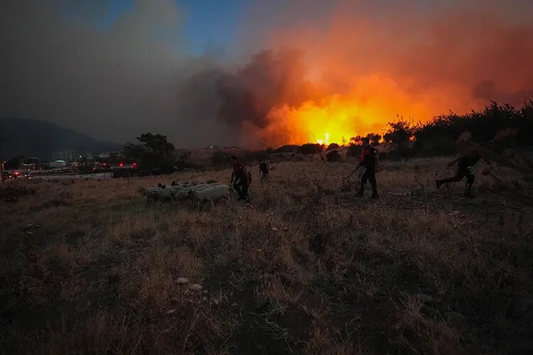 ‘Yeşil vatan’a kastedene geçit yok! Akın Gürlek duyurdu, 25 ildeki 73 orman yangınında 12 tutuklama!