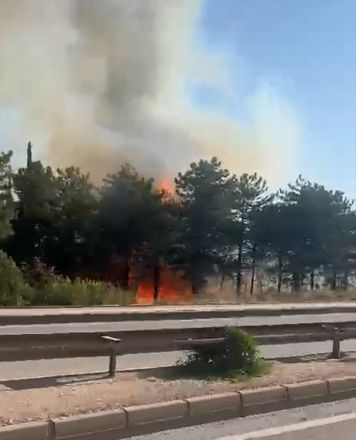 Bursa’da iki noktada orman yangını! Biri söndürüldü, Uludağ eteklerinde alevlere müdahale sürüyor