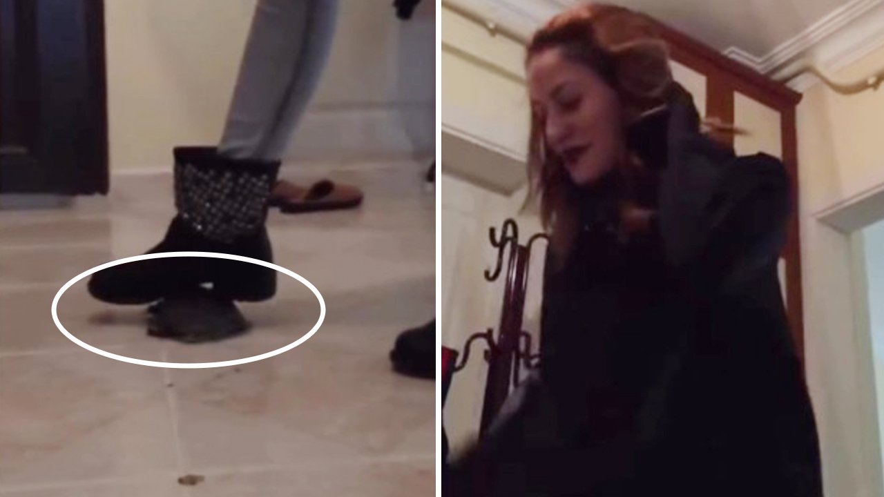 Kaplumbağayı tekmeleyip ezdi! Tüyler ürperten videoya tepki yağıyor: Bulun bu caniyi!