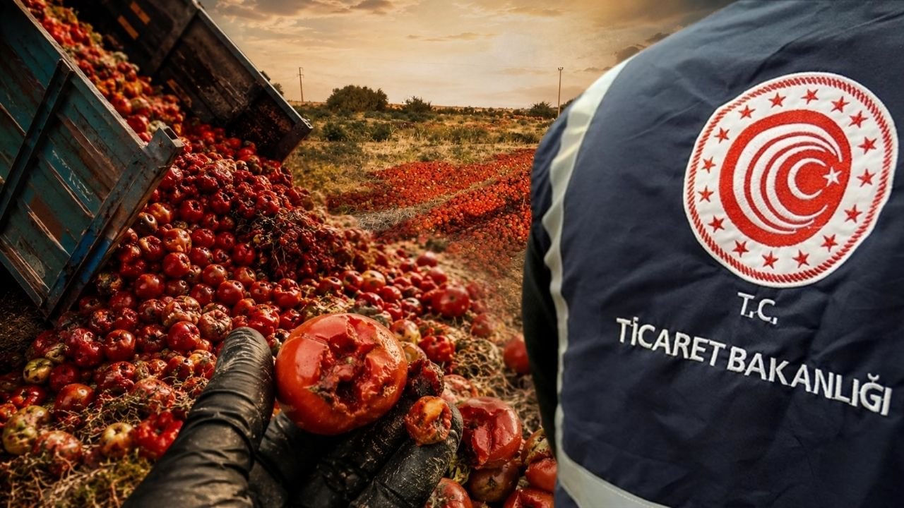 Bursa'da meraya dökülen domateslerle ilgili Tarım Bakanlığı'ndan açıklama geldi