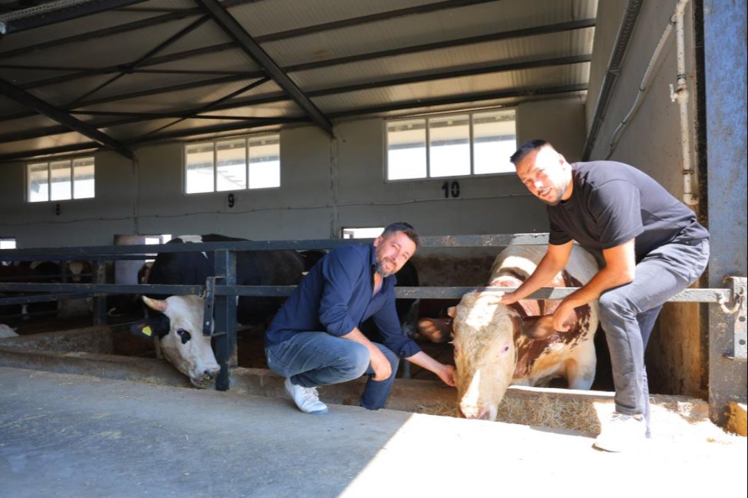 Elektrik işi yapıyordu! Şimdi 200 büyükbaşı var, 20 milyon liralık hibeyle çiftlik kurdu