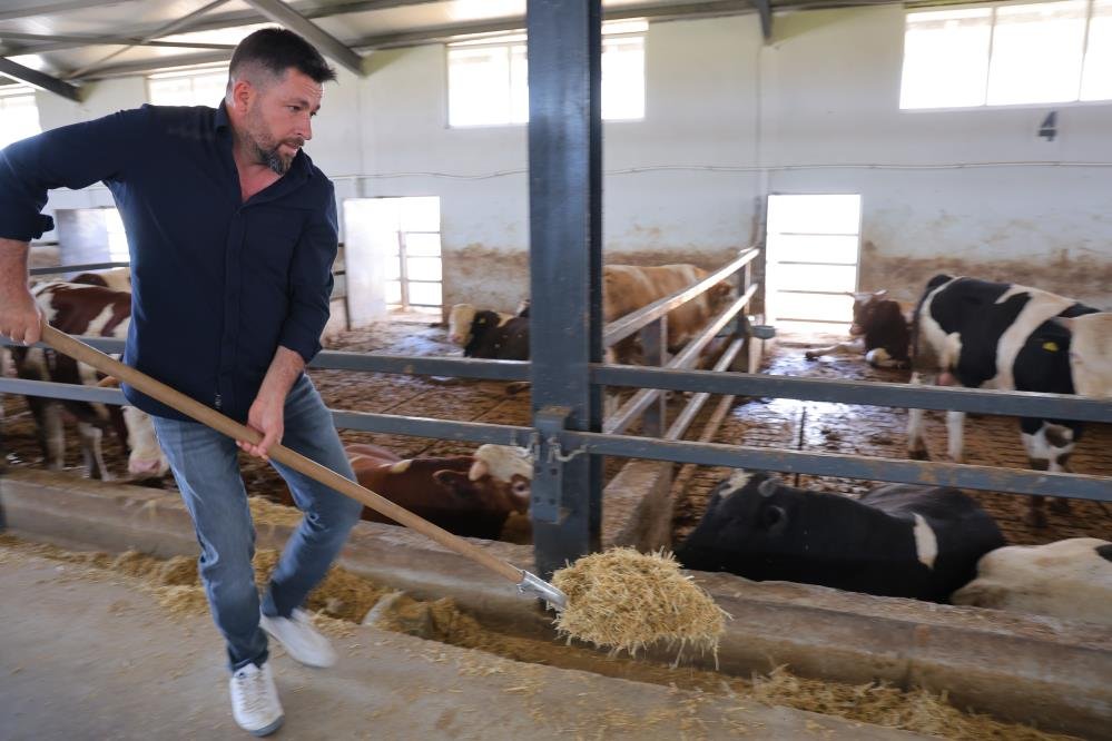 Elektrik işi yapıyordu! Şimdi 200 büyükbaşı var, 20 milyon liralık hibeyle çiftlik kurdu