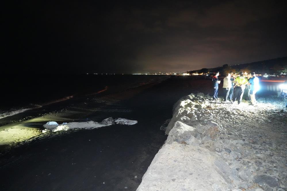 Samsun sahilinde sıcak saatler! Birçok noktada görüldü, ekipler alarma geçti