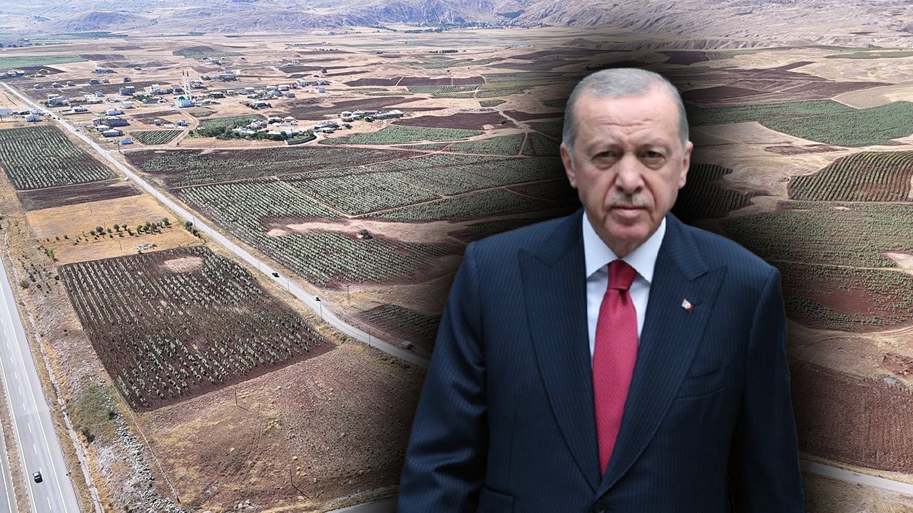 Erdoğan'ın çağrısı sonrası ektiler! Sivaslı çiftçiler üretimi 2 katına çıkardı 
