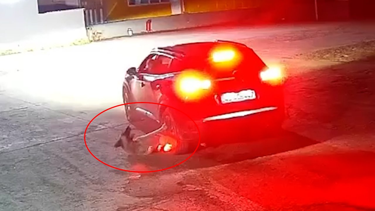 Kapının geç açılmasına sinirlendi, hıncını kapıda yatan köpekten çıkardı! O anlar kamerada