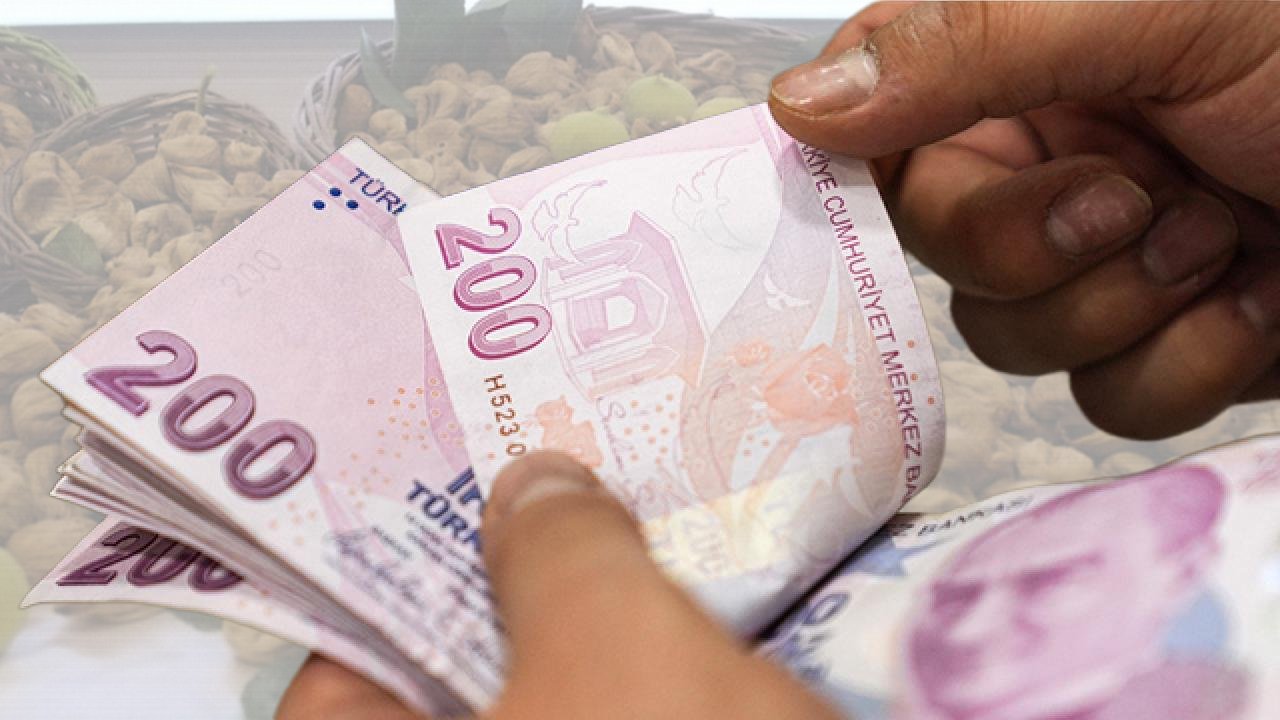 Şifa deposu ürün tarladan tezgaha indi! Kilosu 850 TL’den satışa çıktı