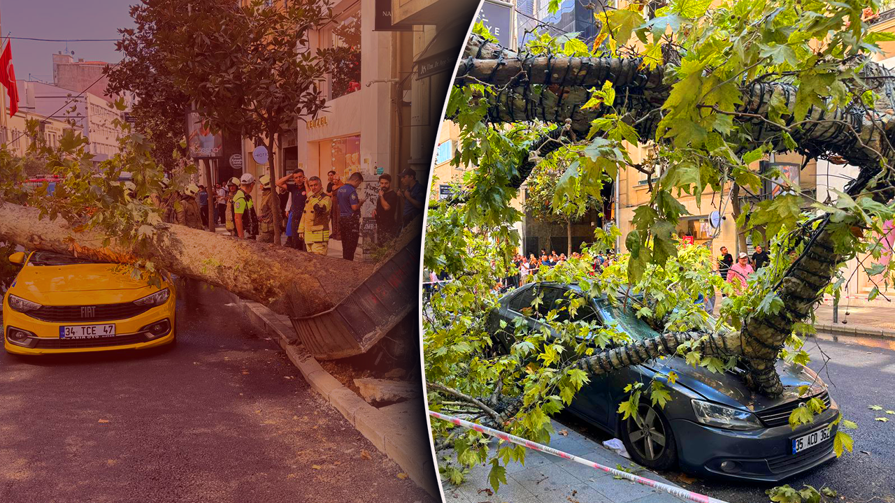Şişli’de yürekler ağza geldi! Üzerine ağaç devrilen taksi şoförü ölümden döndü 