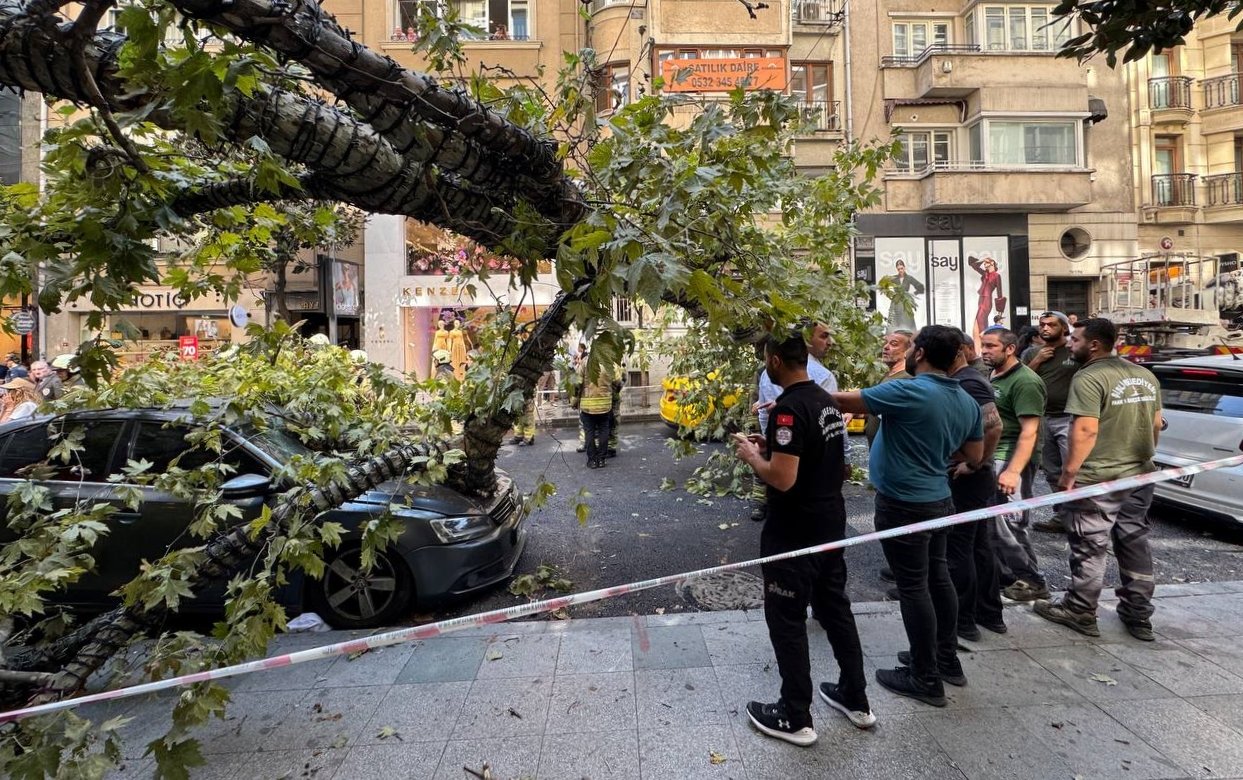 Şişli’de yürekler ağza geldi! Üzerine ağaç devrilen taksi şoförü ölümden döndü