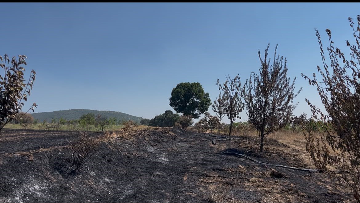 65 yaşındaki kadından yürek ısıtan hareket! Hastalığını unuttu, alevlere koştu: Ormanın yandığını görünce dayanamadım