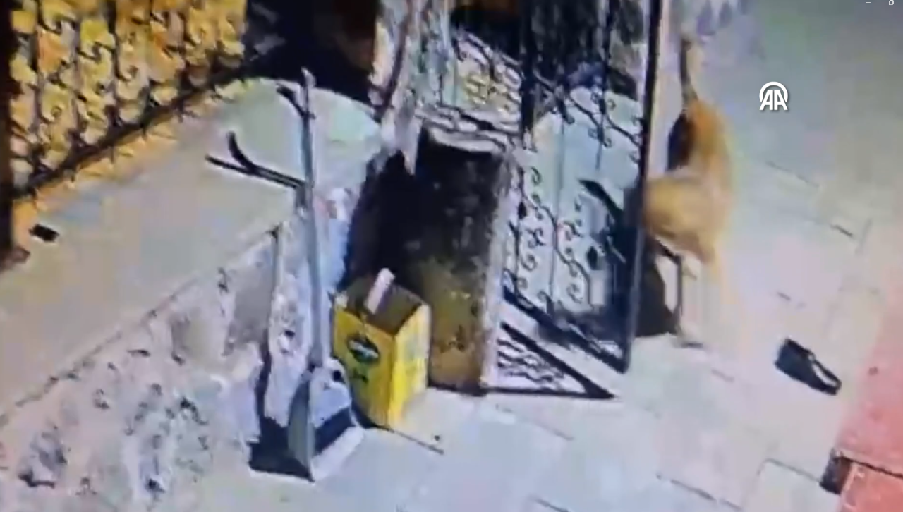 Çankırıda bir köpek müezzinin ayakkabılarını çaldı