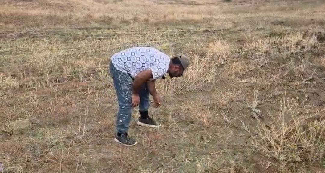 Çoban merada fosil buldu! “Sanki buraya zamanında ekilmiş”
