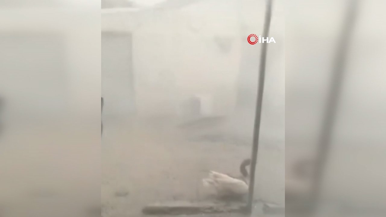 Ardahan'da fırtına dehşeti! Çatılar havada uçuştu, köy savaş alanına döndü