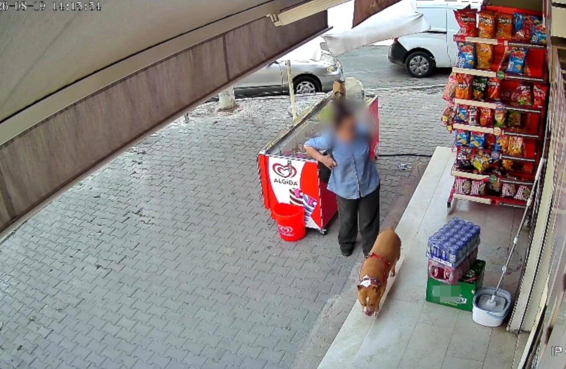 Sokak ortasında pitbull dehşeti! 5 çocuk annesi kadının parmağı koptu
