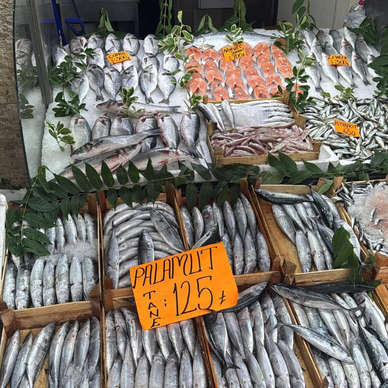 Palamutta bolluk var! Esnaf satışlardan, vatandaş fiyattan memnun