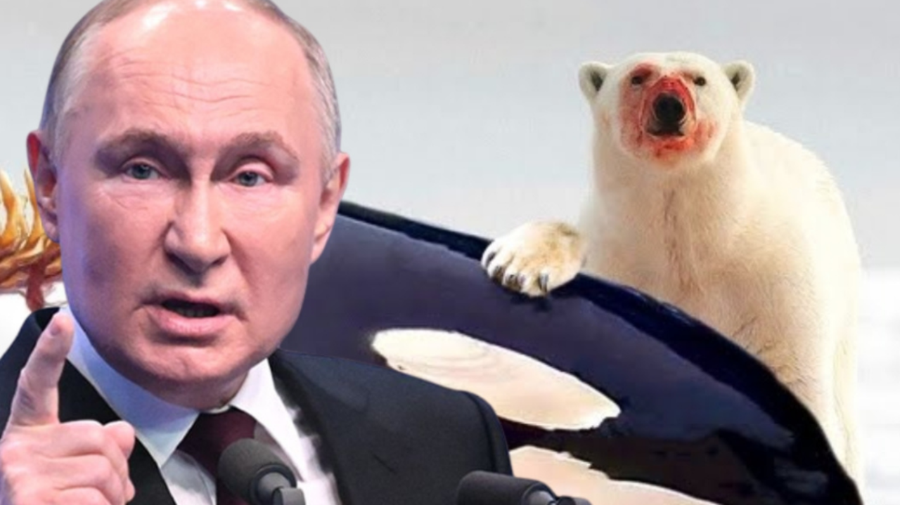 Putin'den çok konuşulacak katil balina göndermesi: Askeri operasyonu bağdaştırdı! 