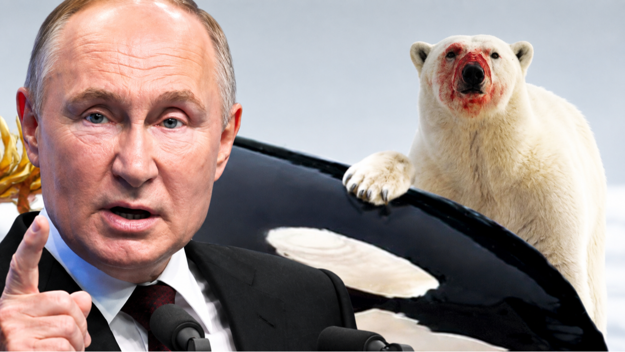 Putin'den çok konuşulacak katil balina göndermesi: Askeri operasyonu bağdaştırdı! 