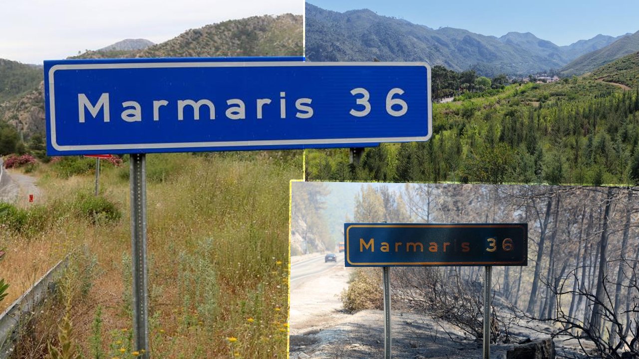 2021 yılındaki orman yangınları 52 bin hektarlık kapkara enkaz bırakmıştı... Kara tablo 5 yılda yeşile döndü