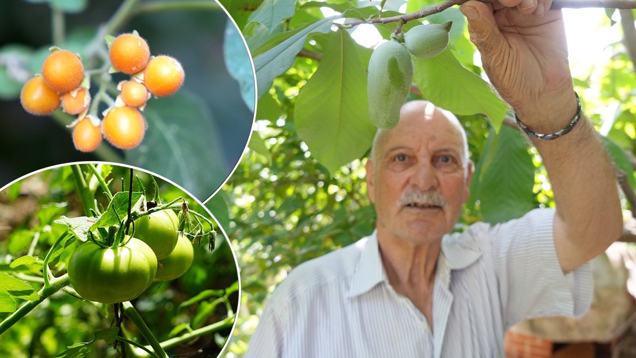 3 kıta, 50 ülkeden toplayıp getirdi! Şimdilerde bahçesinde 120 çeşit üretiyor