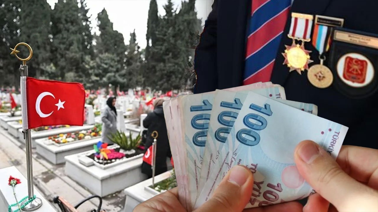 Artık onlar da aylık alacak! Şehit yakınları ve gaziler için düzenleme TBMM'ye sunuldu