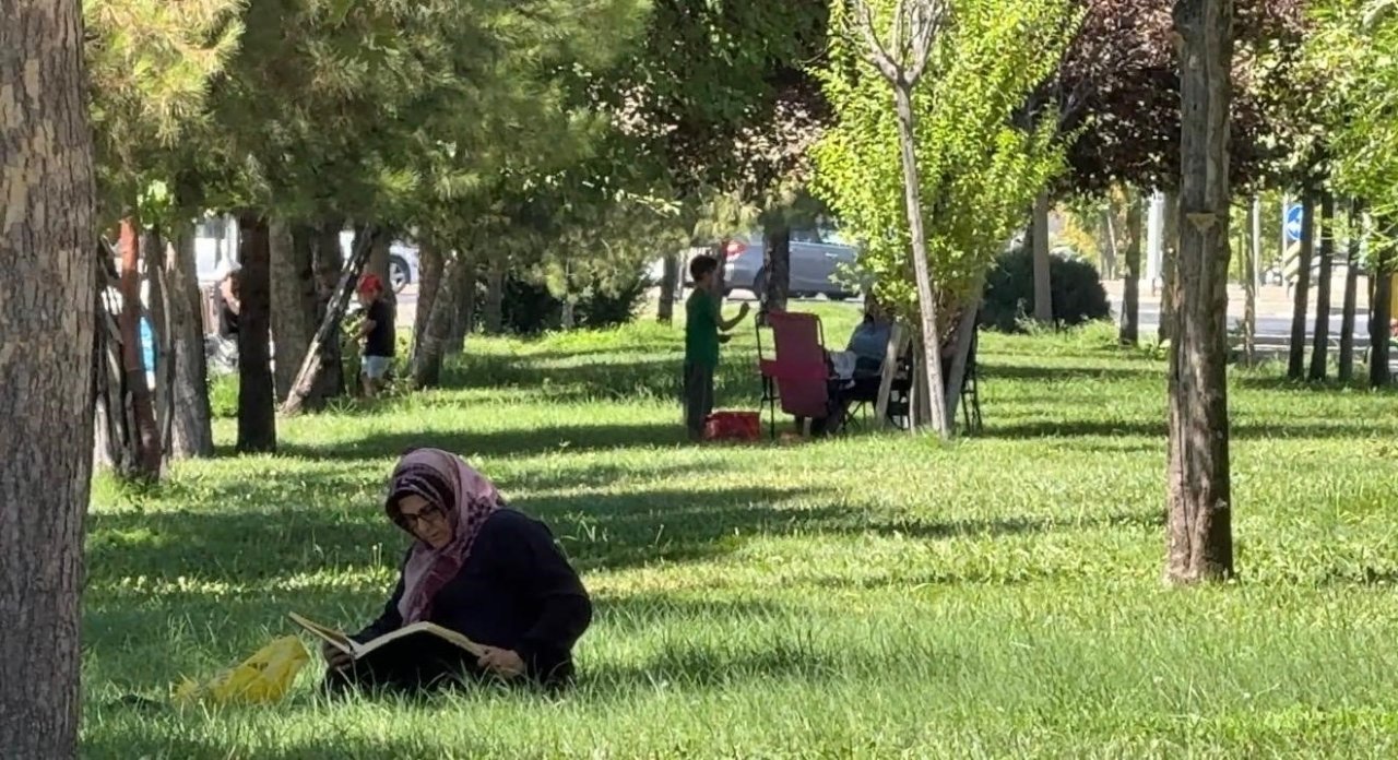 Termometreler 45 dereceyi gösterdi! Kaçacak gölgelik aradılar