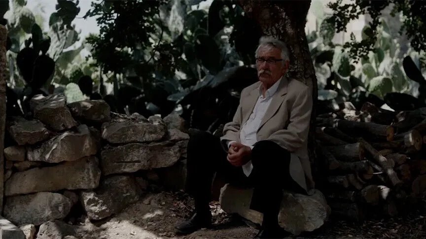 Türkiyenin adayı belli oldu! Kesilmiş Bir Ağaç Gibi Oscara gidiyor