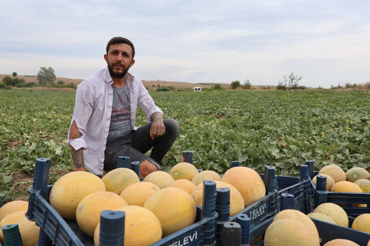 Aracıları devre dışı bıraktı, kavunun kilo fiyatı 10-15 lira ucuzladı