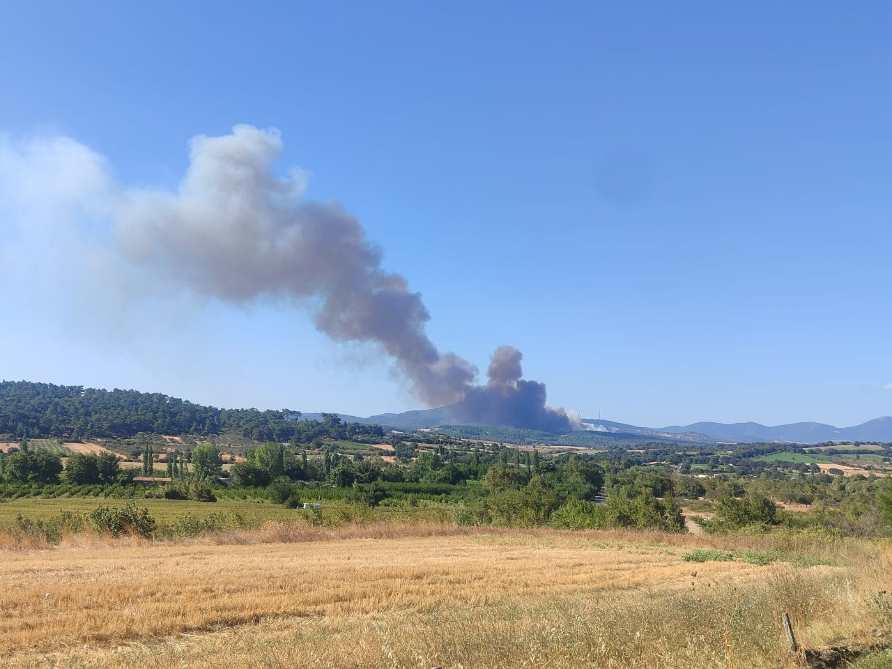 Çanakkalede korkutan yangın! Ekipler devrede