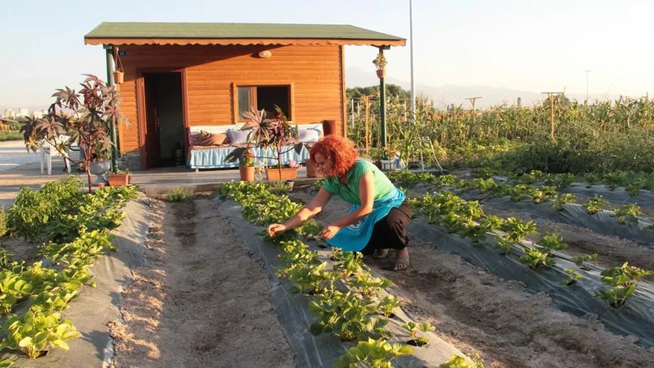 Bağ evi büyüklük şartı değişti mi, bungalov için arazi sınırı ne oldu? Karar Resmi Gazetede yayımlandı!