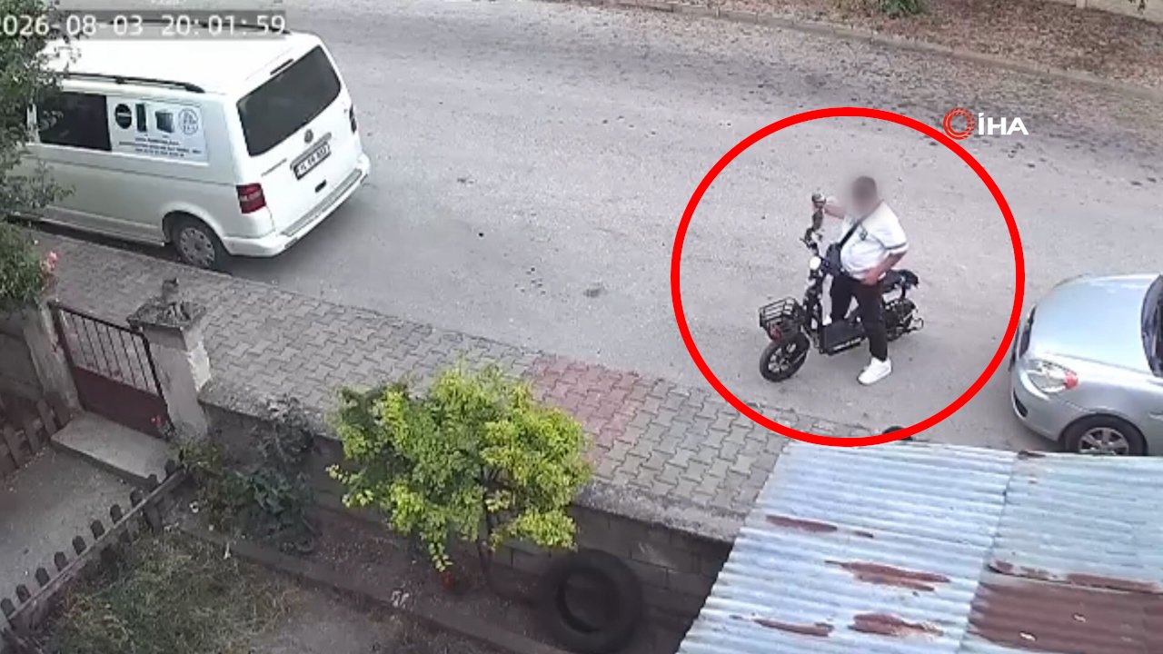 Bolu'da kan donduran vahşet! Yavru kediyi önce öptü, sonra elleriyle boğdu