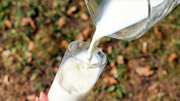 Maliyetler düştü gözler raflarda! Süt üreticisi yem maliyetlerindeki sınırlı gevşemeyle nefes aldı