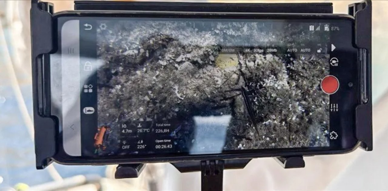 Ege Denizi'nde bugüne kadarki en büyük mercan ormanı keşfedildi