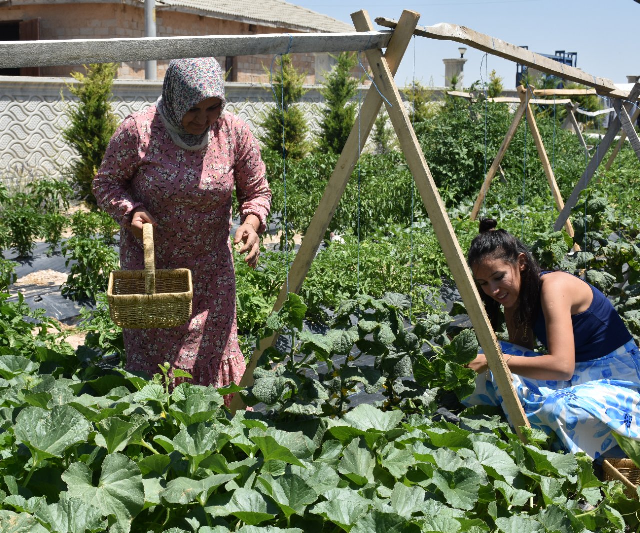Evlerini otele çevirdiler… Konaklama ve yemek ücretsiz, tek bir şartları var