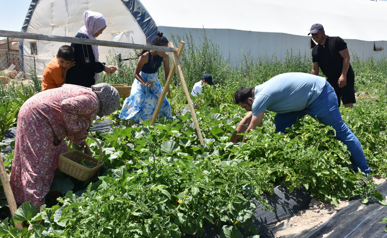 Evlerini otele çevirdiler… Konaklama ve yemek ücretsiz, tek bir şartları var