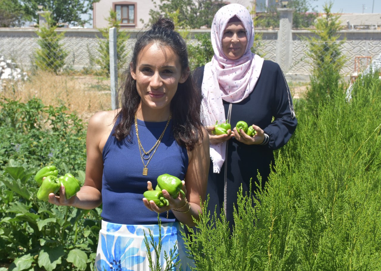 Evlerini otele çevirdiler… Konaklama ve yemek ücretsiz, tek bir şartları var