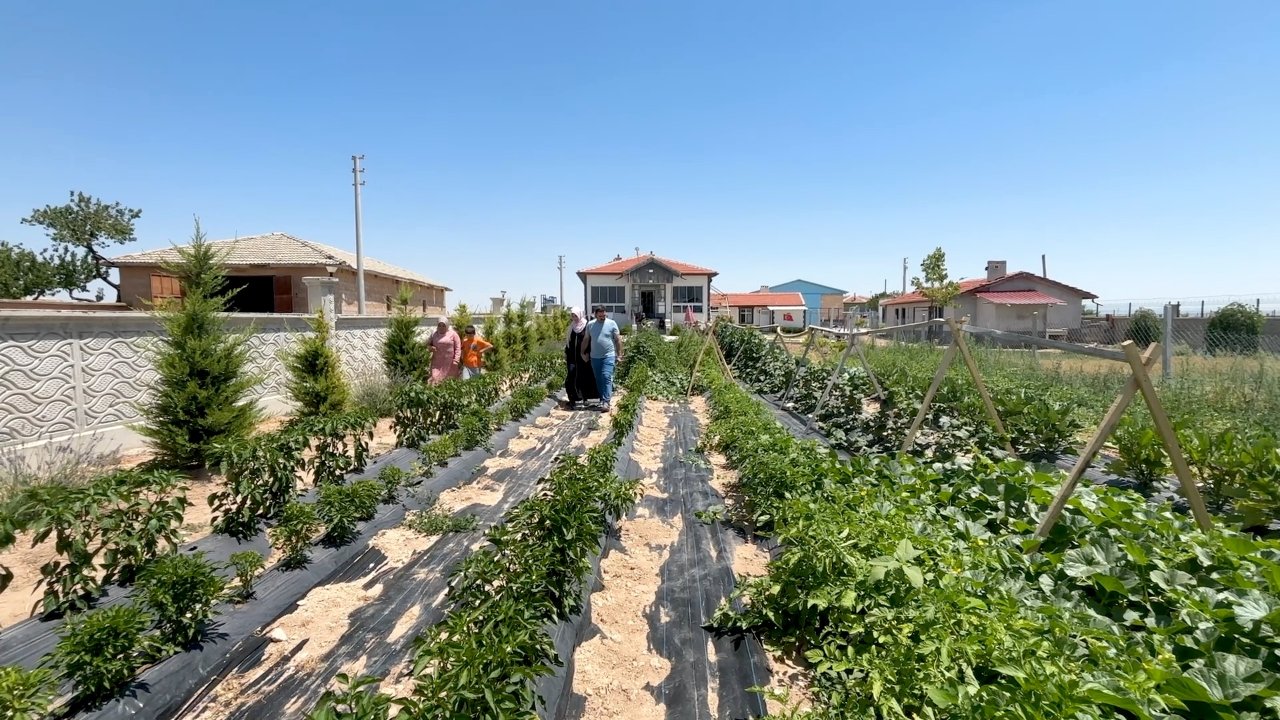 Evlerini otele çevirdiler… Konaklama ve yemek ücretsiz, tek bir şartları var