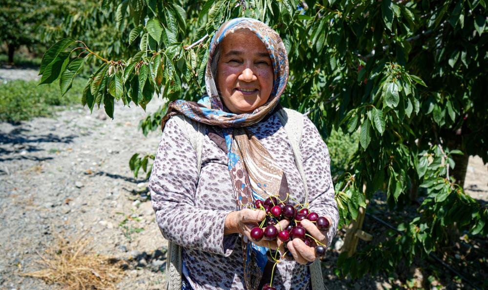 Geçen yıl don vurdu, bu yıl bebeği gibi bakıyor! Kilosu 150 lira