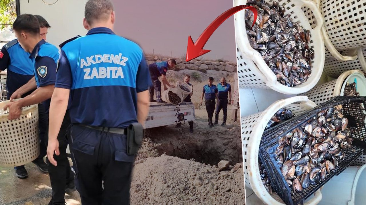 Mide bulandıran görüntüler: Tam satışa çıkacaktı! 200 kilosu da imha edildi