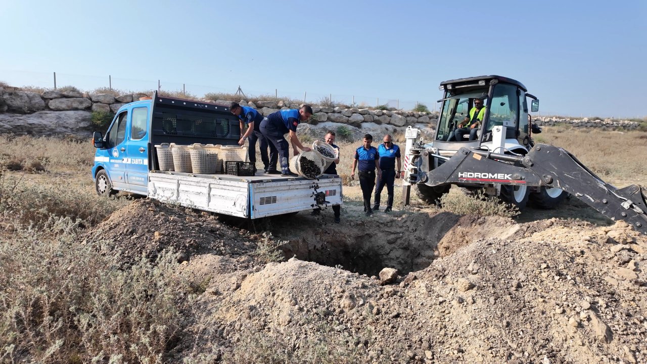Mide bulandıran görüntüler: Tam satışa çıkacaktı! 200 kilosu da imha edildi