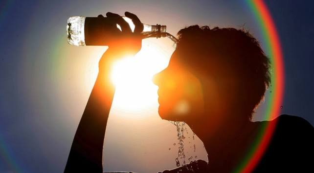 Sıcaklar öldürdü, yaktı ekonomiye darbe vurdu! Can kayıplarının yanı sıra tarım ve iş dünyasında da ağır bilanço