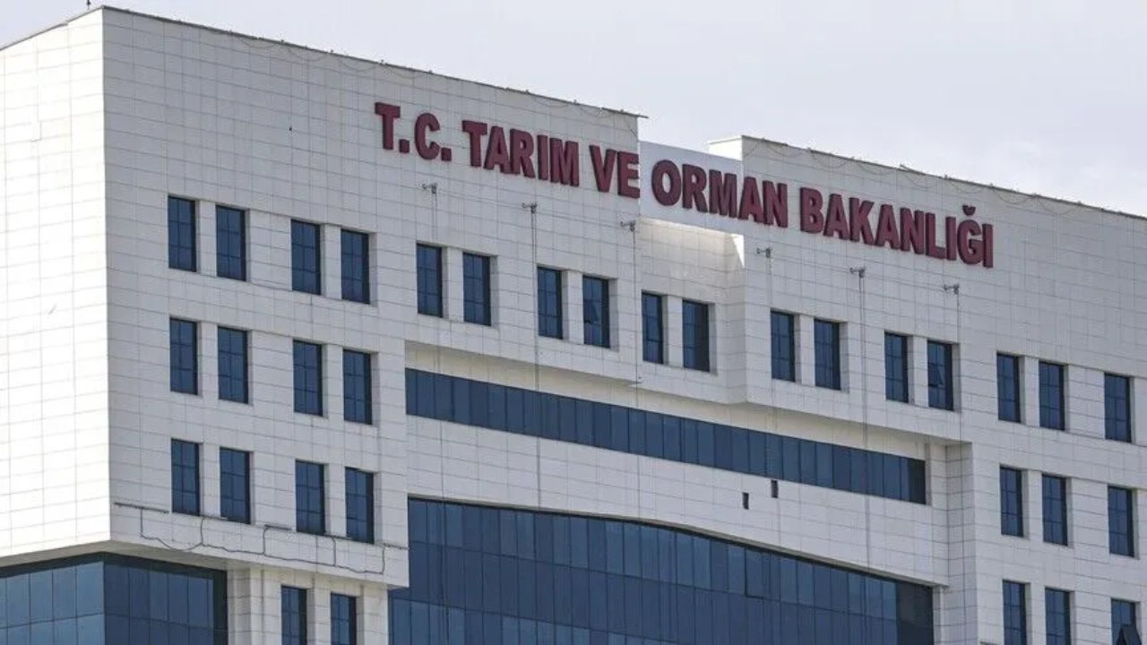 Tarım ve Orman Bakanlığının 1874 sözleşmeli alımı son başvuru günü ne zaman? İşte şartları
