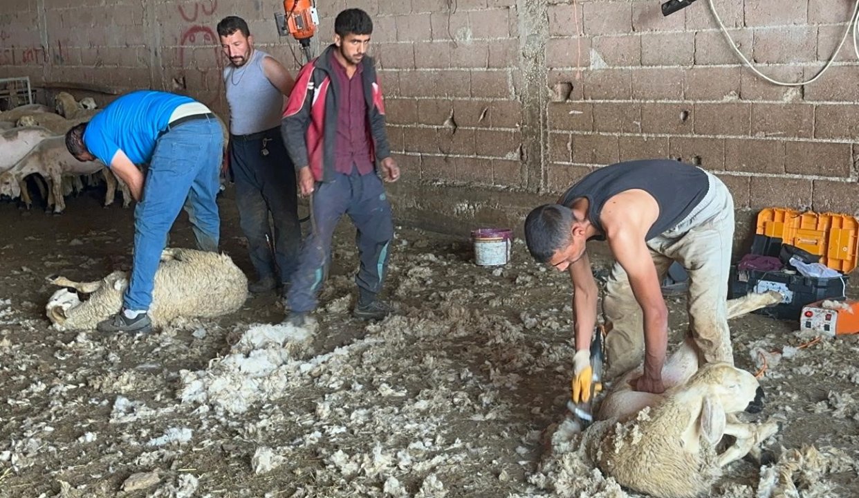 Yaz gelince para yağıyor! Bu meslekte çalışanlar ayda 250 bin lira kazanıyor