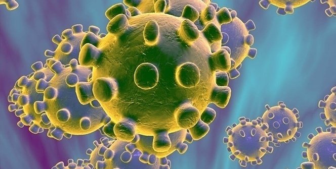 Ebola virüsü salgını büyüyor! Ebola nedir, Türkiyede var mı?