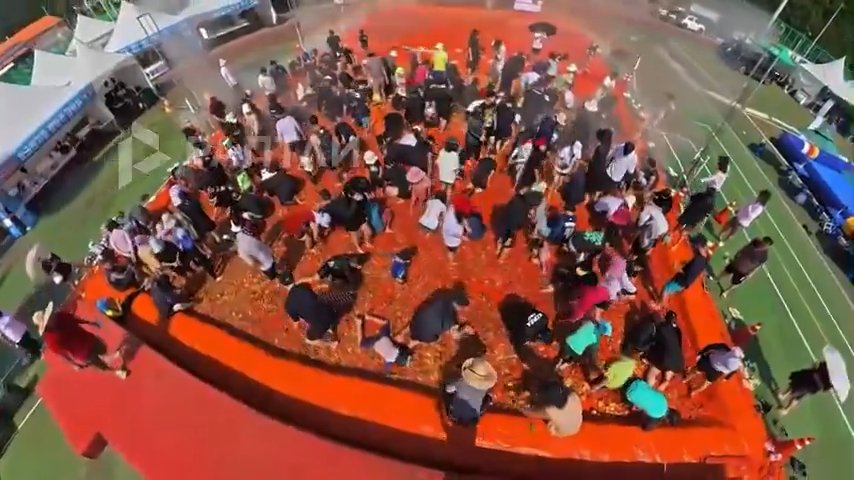 Sosyal medyayı ikiye bölen festival! Binlerce kişi 44 ton domatesin arasında aradı, tepkiler çığ gibi