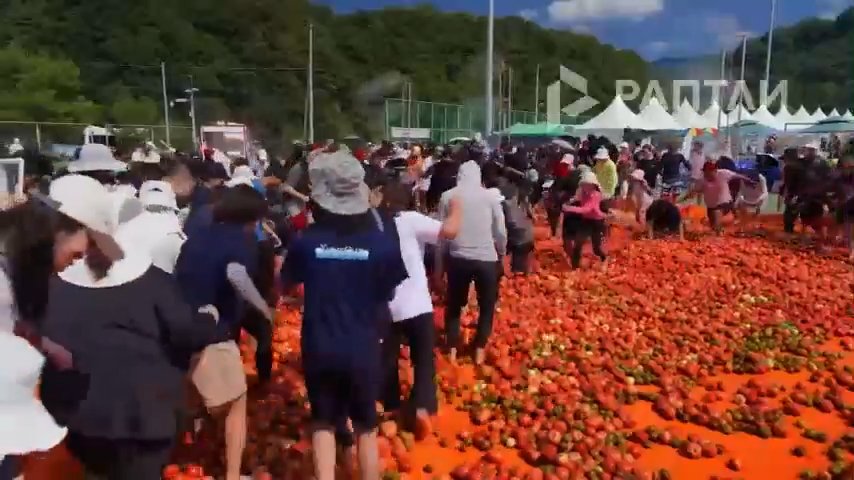 Sosyal medyayı ikiye bölen festival! Binlerce kişi 44 ton domatesin arasında aradı, tepkiler çığ gibi