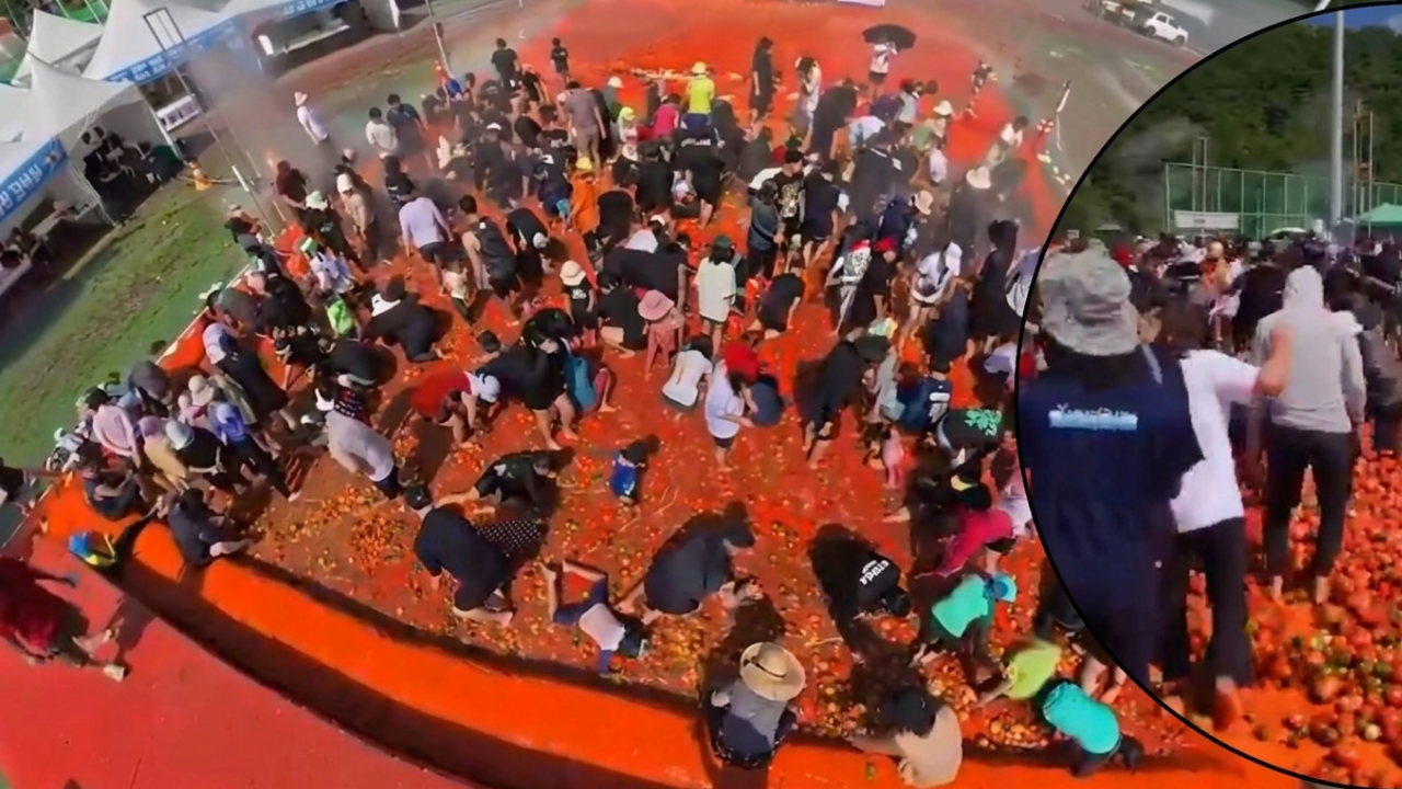 Sosyal medyayı ikiye bölen festival! Binlerce kişi 44 ton domatesin arasında aradı, tepkiler çığ gibi 