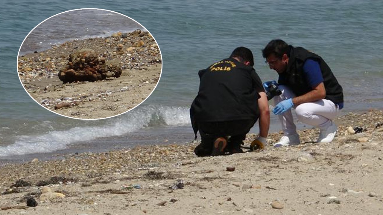 Vatandaş denizde tesadüfen buldu! Çanakkale Savaşı'ndan kalma iddiası